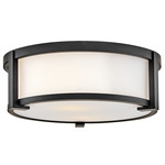 Lowell White Outdoor Ceiling Light - Black / Etched White