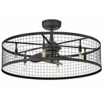 Finnigan Fandelier with Light - Matte Black