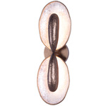 Spat Wall Sconce - Pearlized Antique Brass / Iridescent
