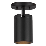 Lorna 3 inch Adjustable Spot Ceiling Light - Black / Clear