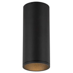 Lorna 3 inch no Canopy Ceiling Flush Light - Black / Clear