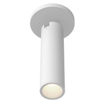 Lorna 2 inch Adjustable Spot Ceiling Light - White / Clear