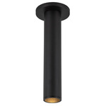 Lorna 2 inch Ceiling Light with Canopy - Black / Clear