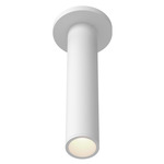 Lorna 2 inch Ceiling Light with Canopy - White / Clear
