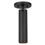 Lorna 2 inch Adjustable Spot Ceiling Light - Black / Clear