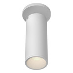 Lorna 3 inch Adjustable Spot Ceiling Light - White / Clear