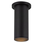 Lorna 3 inch Ceiling Light with Canopy - Black / Clear