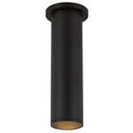 Lorna 3 inch Ceiling Light with Canopy - Black / Clear