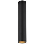 Lorna 2 inch no Canopy Ceiling Flush Light - Black / Clear