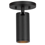 Lorna 2 inch Adjustable Spot Ceiling Light - Black / Clear