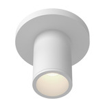 Lorna 2 inch Ceiling Light with Canopy - White / Clear