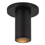 Lorna 2 inch Ceiling Light with Canopy - Black / Clear