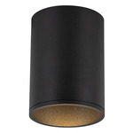 Lorna 4 inch no Canopy Ceiling Flush Light - Black / Clear
