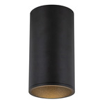 Lorna 4 inch no Canopy Ceiling Flush Light - Black / Clear
