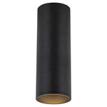 Lorna 4 inch no Canopy Ceiling Flush Light - Black / Clear