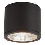 Nordic Outdoor Puck Ceiling Light - Black / Clear