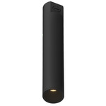 Lorna Concrete 2 inch Ceiling Light - Black / Clear