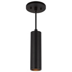 Lorna 2 inch Pendant - Black / Clear