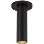 Lorna 2 inch Ceiling Light with Canopy - Black / Clear