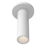 Lorna 2 inch Ceiling Light with Canopy - White / Clear