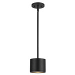 Nordic 5 inch Outdoor Pendant - Black / Clear