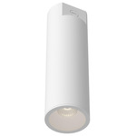 Lorna Concrete 4 inch Ceiling Light - White / Clear
