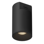 Lorna Concrete 4 inch Ceiling Light - Black / Clear