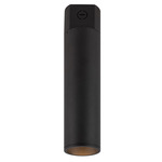 Lorna Concrete 3 inch Ceiling Light - Black / Clear