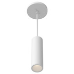 Lorna 2 inch Pendant - White / Clear