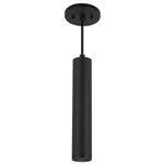 Lorna 2 inch Pendant - Black / Clear