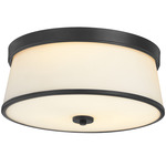 Weir Ceiling Light - Matte Black / Opal