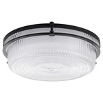 Emory Color-Select Ceiling Light - Matte Black / Clear