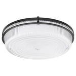 Emory Color-Select Ceiling Light - Matte Black / Clear