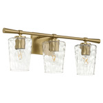 Goodwin Bathroom Vanity Light - Aged Brass / Clear Hammered