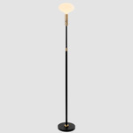 Poise Floor Lamp - Black / Brass / Matte White