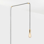 Squirrel Cage Plug-In Pendant - Brass / Clear Tinted