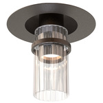 Lei Ceiling Light - Titanium / Clear
