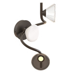 Linfa Twist Wall / Ceiling Light - Titanium