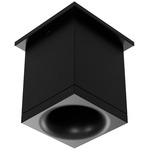 Zoron Square Color-Select Ceiling Light - Arc Black / Clear