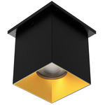 Zoron Square Color-Select Ceiling Light - Black / Gold / Clear