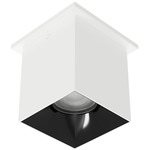 Zoron Square Color-Select Ceiling Light - White / Black / Clear
