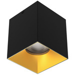 Zoron Square Color-Select Ceiling Light - Black / Gold / Clear