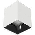 Zoron Square Color-Select Ceiling Light - White / Black / Clear