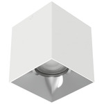 Zoron Square Color-Select Ceiling Light - White / Chrome / Clear