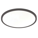 Edge 120-277V Color-Select Ceiling Light - Black / White
