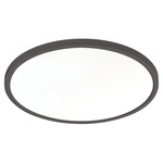 Edge 120-277V Color-Select Ceiling Light - Black / White