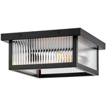 Torrent Outdoor Ceiling Light - Black / Clear