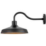 Forge Gooseneck Outdoor Wall Light - Black