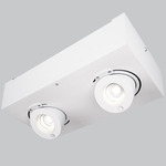 Bridge Adjustable 2-Light Ceiling Light - White