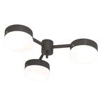 Celeste Epiphany Wall / Ceiling Light - Overstock - Blackened Brass / Opal